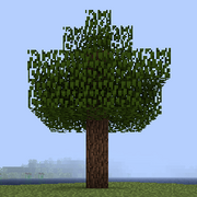 Дерево ясеня.png